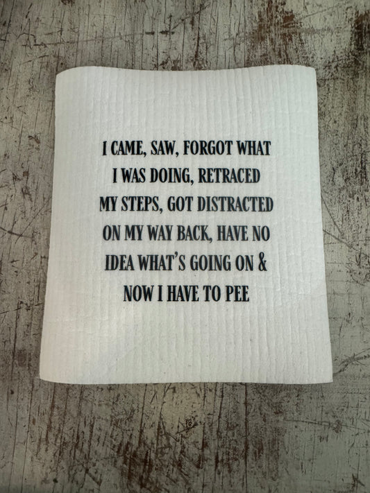 Swedish Dishcloth I Came Saw Forgot