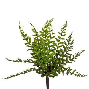 15 inch Leather Fern