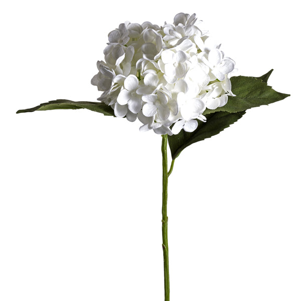 20 Inch White Hydrangea