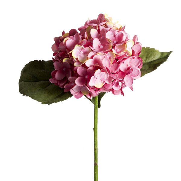 20 Inch Pink Hydrangea