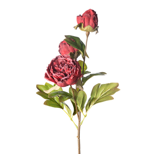 DRIED PEONY SPRAY IN RED