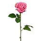 25 Inch ROSE -  PINK