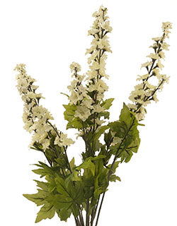 26 Inch CREAM LARKSPUR