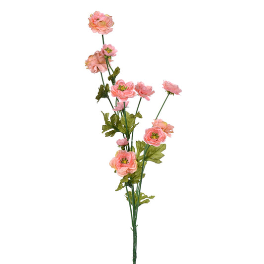 29 Inch Wild Ranunculus - Peach