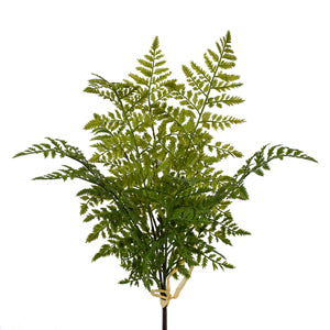 36 INCH LEATHER FERN