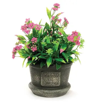 Vase filled with Dark Pink Flowers