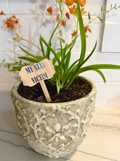 Funny Bamboo Plant Stakes - Assorted