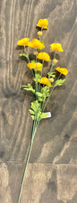 30 INCH WILD RANUNCULUS SPRAY - YELLOW