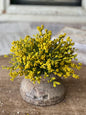 Yellow Berries Half Sphere - 11 Inch